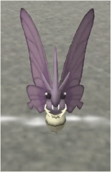 Image 32