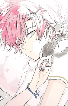 Image 37