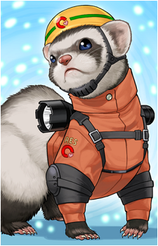 Rescue Ferret's image