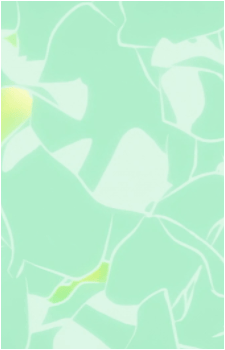 Image 2 Image 2