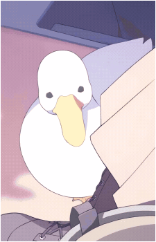 Rabu