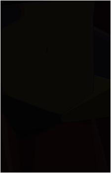 Image 45