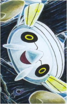 Image 36