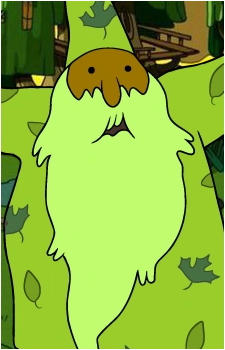 Forest Wizard