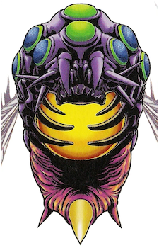 Imago's image