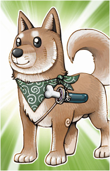 Shiba-Warrior Taro's image