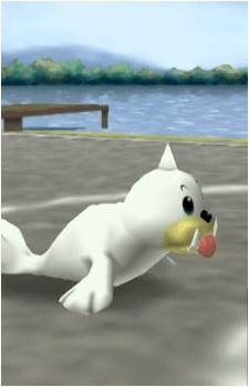 Image 34