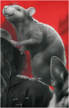 Mr. Rat's image