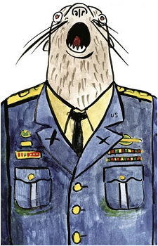 Neal McBeal