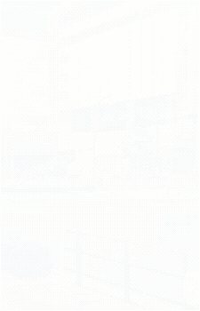 Image 33