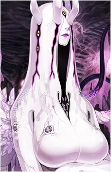 Echidna's image
