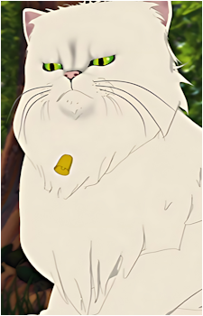 Snowbell's image