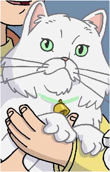 Snowbell