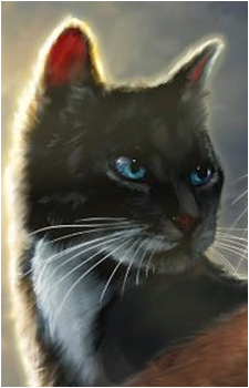 Gale Rise's image
