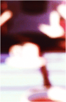 Image 7 Image 7