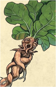 Mandrake {DM}