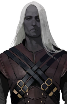 Drizzt Do'Urden