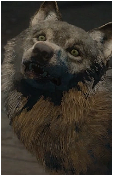 Wolfie {UD}'s image