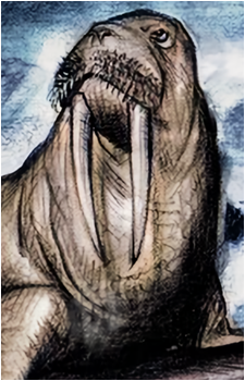 Mr. Tusk's image