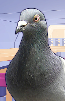 Ryuuji Kawara