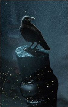Matthew the Raven