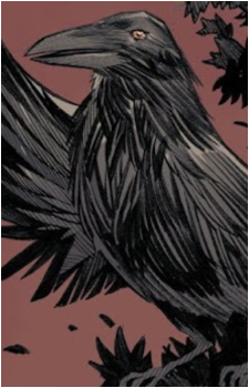 Matthew the Raven's image