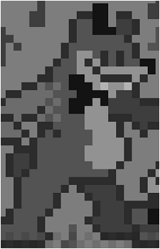 Image 13