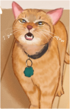 Cala's image