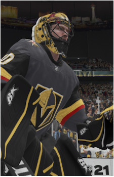 Robin Lehner's image