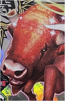 Don Bison's image
