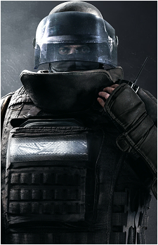 Rook's image