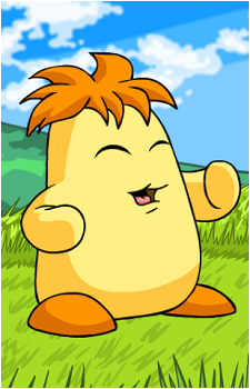 Chia {NP}'s image