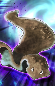 Splitting Planarian's image