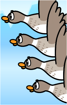 Migrating Birds's image