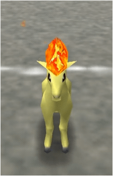 Ponyta