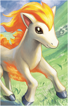 Ponyta
