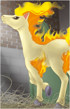 Ponyta
