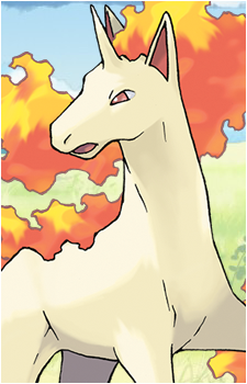 Ponyta