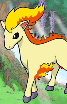 Ponyta