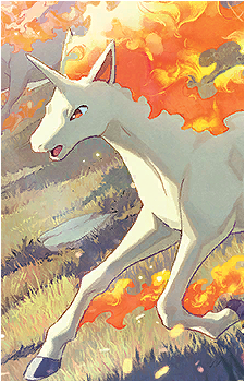 Ponyta