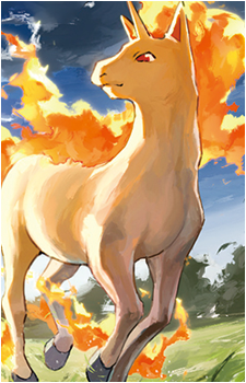 Ponyta