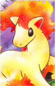 Ponyta