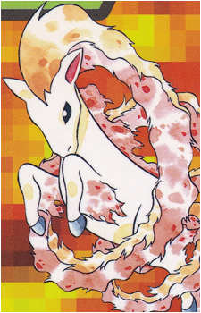 Ponyta