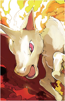 Ponyta