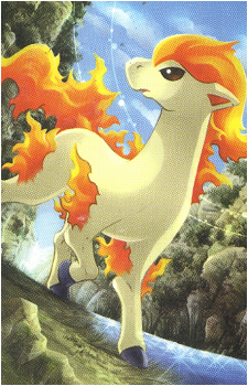 Ponyta