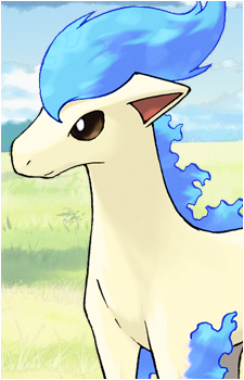 Ponyta