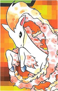 Ponyta