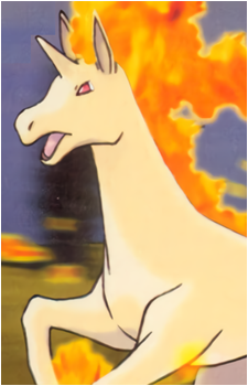 Ponyta