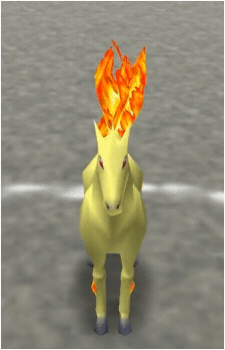 Ponyta