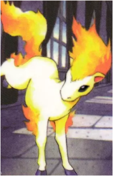 Ponyta